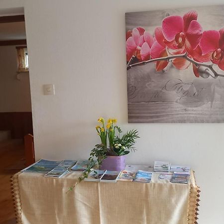 Haus Sonnenhang +Seeblick+Pool Reifnitz Zewnętrze zdjęcie