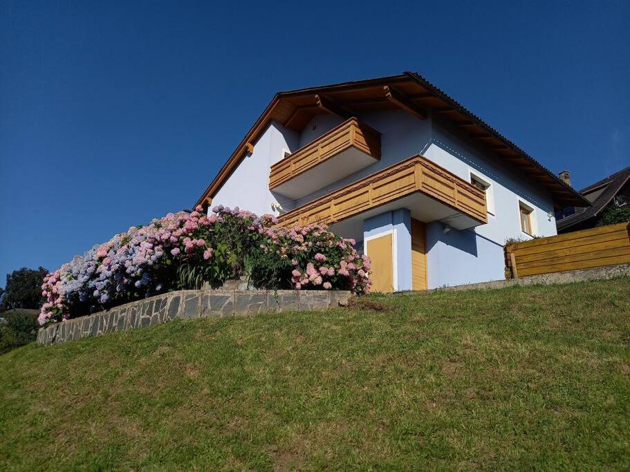 Haus Sonnenhang +Seeblick+Pool Reifnitz Zewnętrze zdjęcie