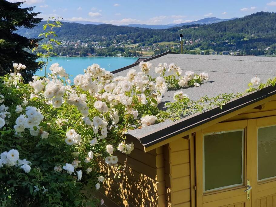 Haus Sonnenhang +Seeblick+Pool Reifnitz Zewnętrze zdjęcie