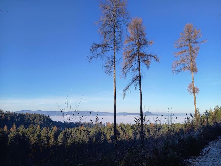 Haus Sonnenhang +Seeblick+Pool Reifnitz Zewnętrze zdjęcie