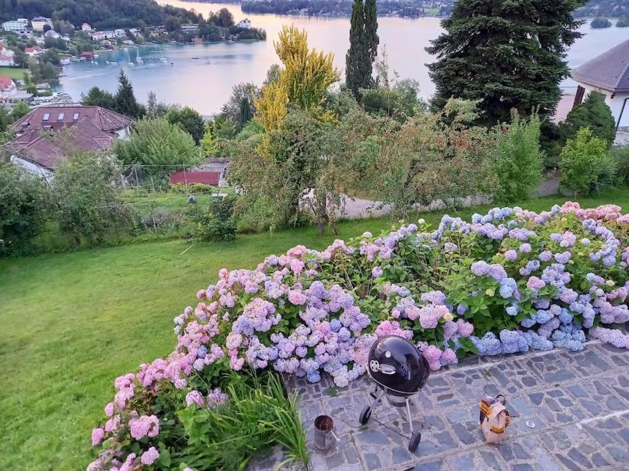Haus Sonnenhang +Seeblick+Pool Reifnitz Zewnętrze zdjęcie