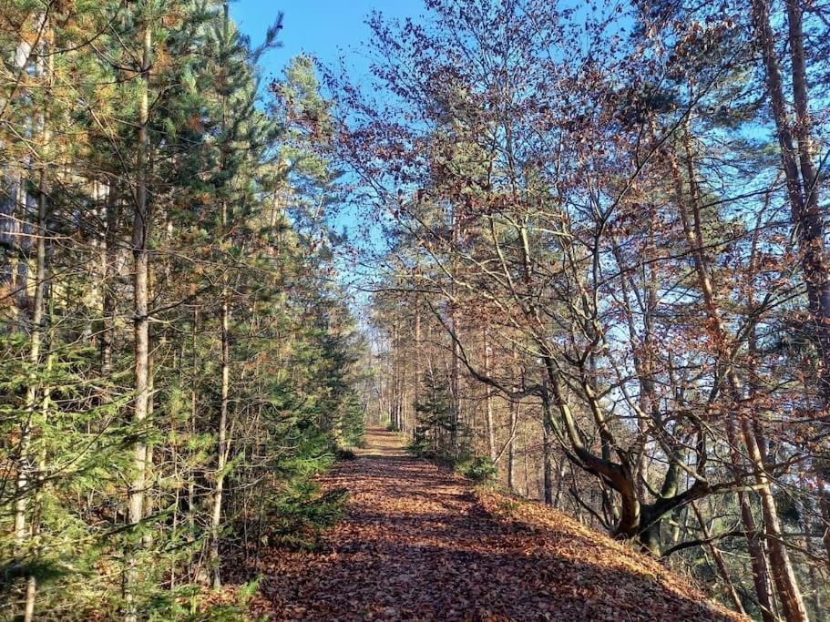 Haus Sonnenhang +Seeblick+Pool Reifnitz Zewnętrze zdjęcie